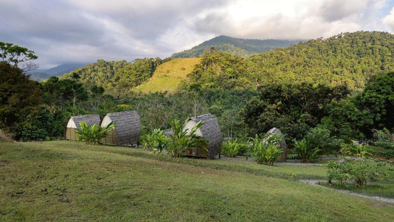 Esquipulas Rainforest Quepos Buitenkant foto